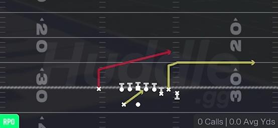 RPO ZONE ALERT - Gun Bunch Y Nasty