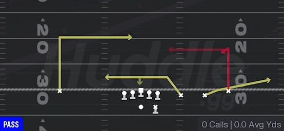 GEORGIA - Gun Trips